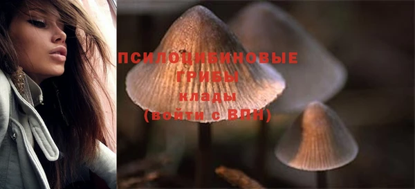 сатива Алзамай
