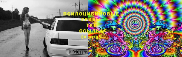 СК Нея