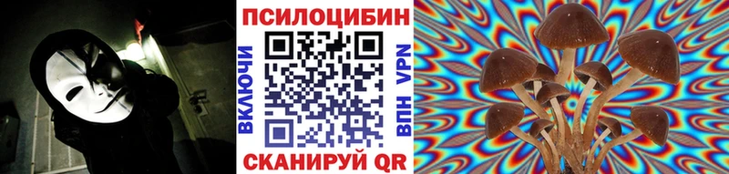 блэк спрут онион  даркнет сайт  Циолковский  Псилоцибиновые грибы Magic Shrooms 
